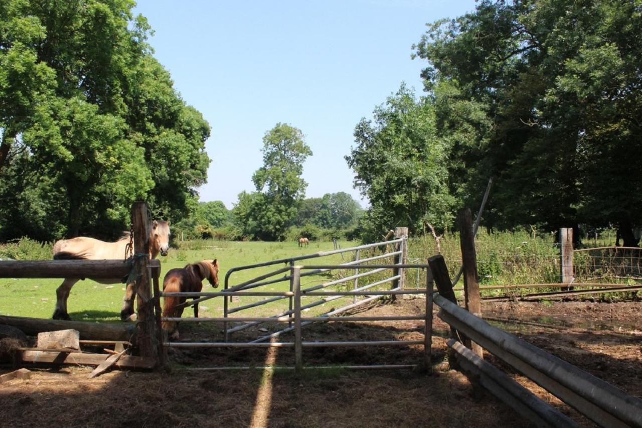 La Ferme De La Croix Villa Saint-Quentin-Lamotte-Croix-au-Bailly Kültér fotó
